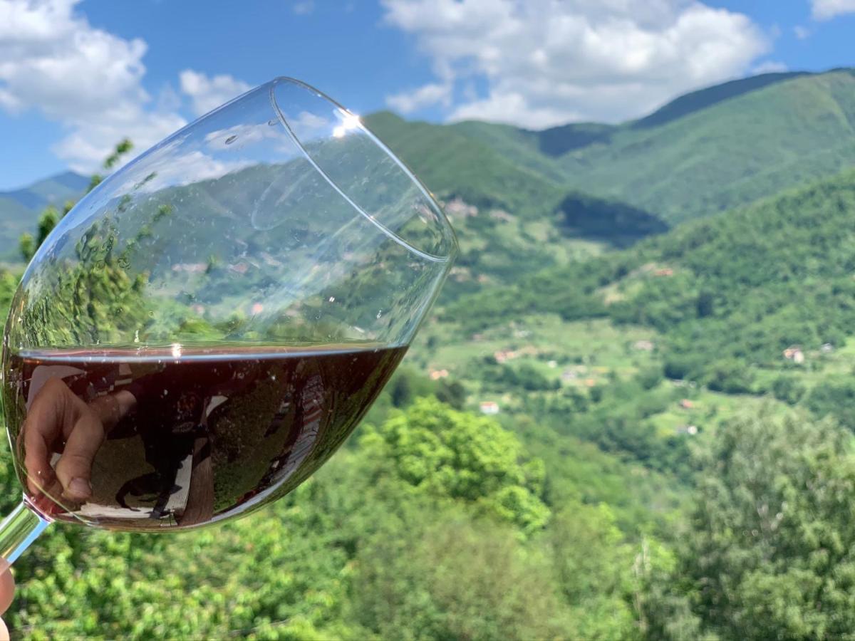 Casa Emma Fiattone In Garfagnana Villa Eksteriør billede